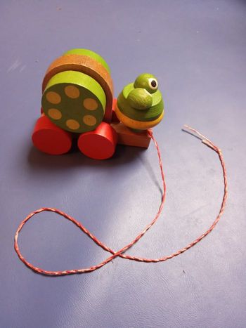 Jeu à tirer en bois motif tortue, des 12 mois