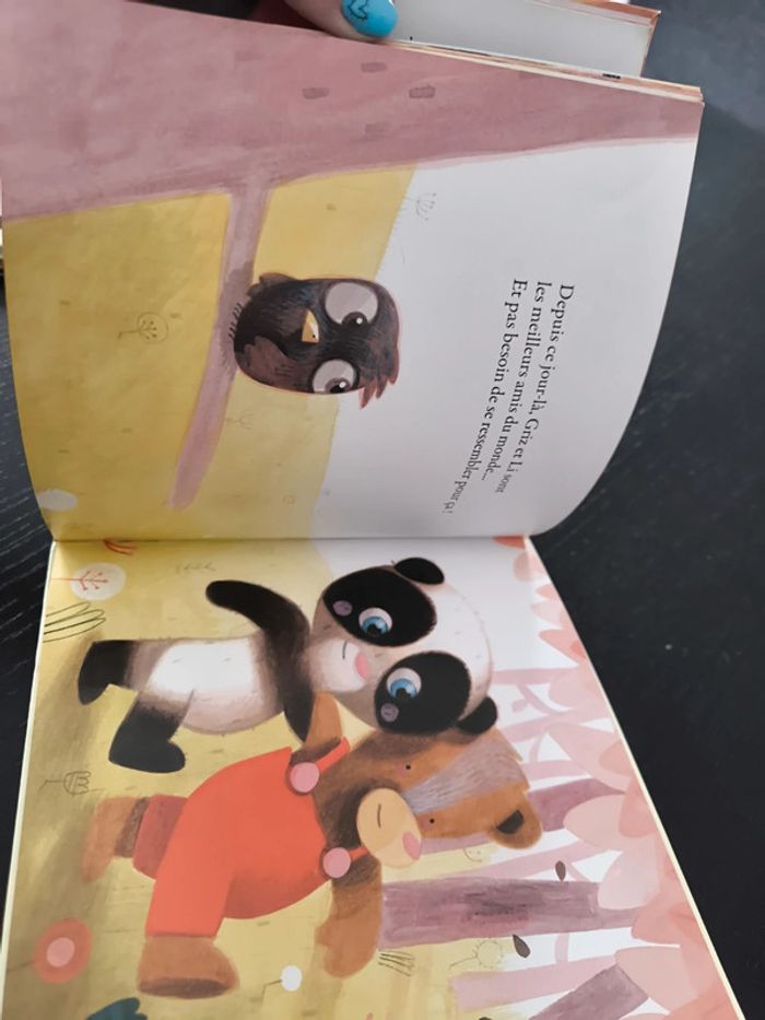 Livre - Petit panda cherche un ami - photo numéro 4