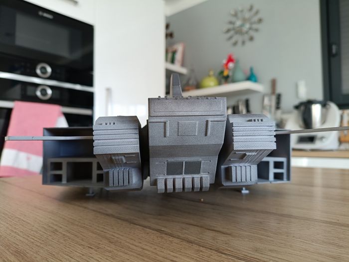 Comosaure de san ku kaĩ 40 cm - photo numéro 4