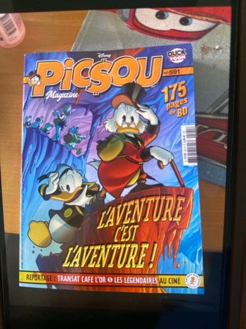 Livre picsou 