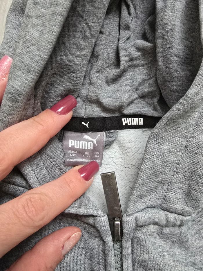 Veste - photo numéro 5