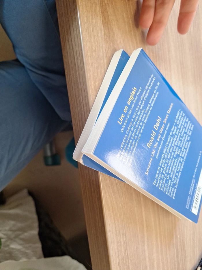 Lot 2 livre bilingues - photo numéro 6