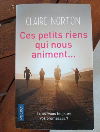 Livre Claire Norton Ces petits riens qui nous animent