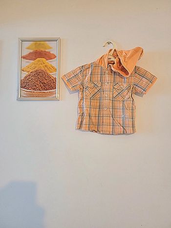 Chemise avec capuche garçon taille 9 mois