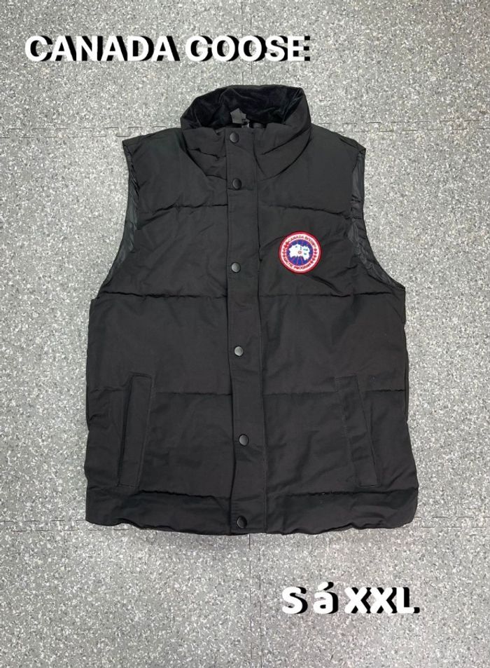 Canada gosse