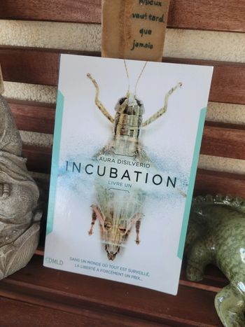 Livre "Incubation" de Laura Disilverio
