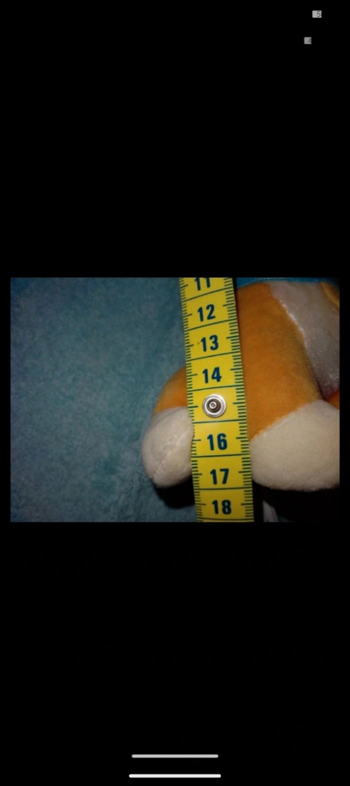 Peluche - photo numéro 4