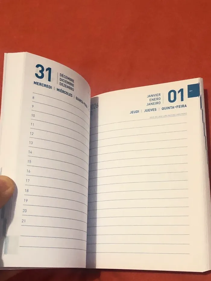 Agenda Emily in Paris Netflix  Année 2025-2026 - photo numéro 2