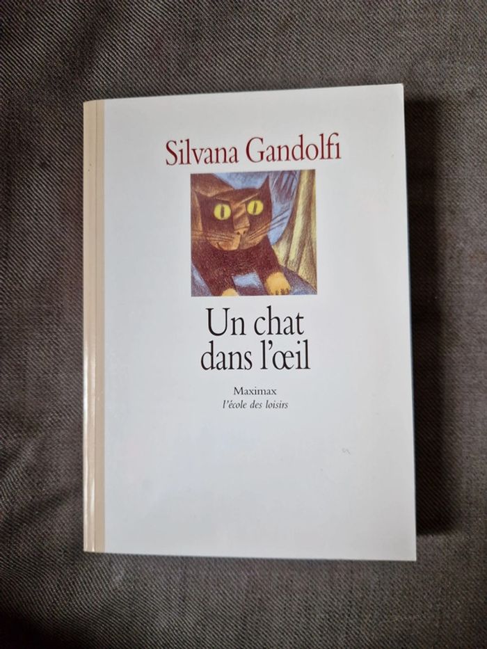 Livre un chat dans l'œil l'école des loisirs
