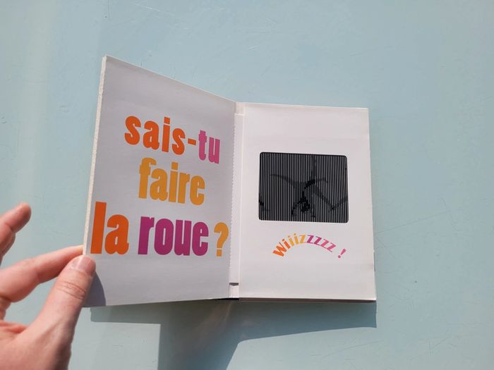 Livre animé hologramme Playbac 🏀 Champion (54) - photo numéro 14