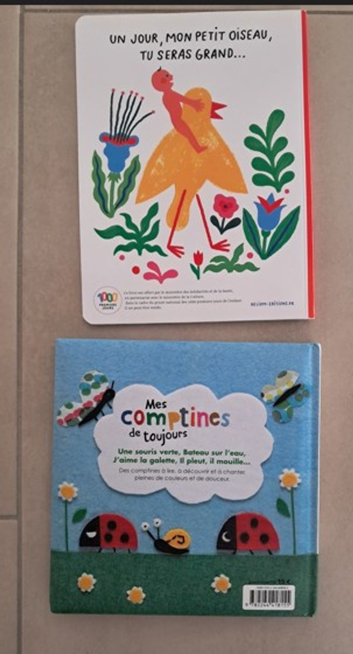 2 livres jeunes enfants - photo numéro 2