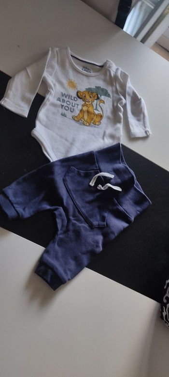 Ensemble simba