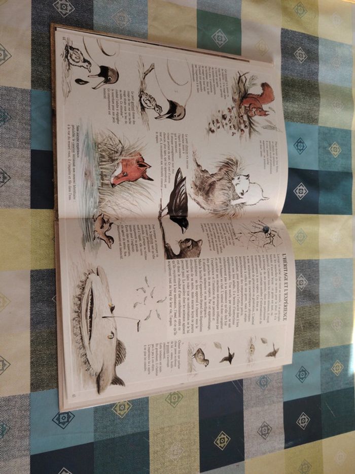 Livre sur l'éléphant - photo numéro 12