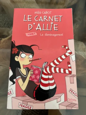 Livre Le carnet d'Allie Tome 1