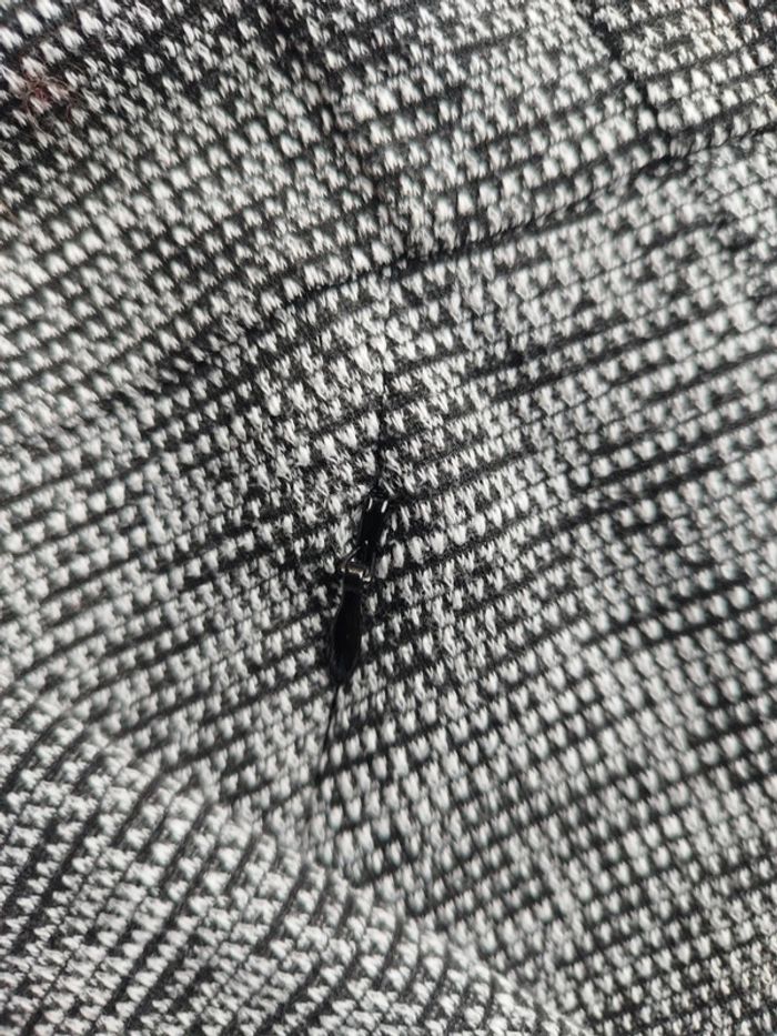 Robe patineuse - photo numéro 3