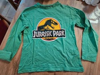 Pull léger jurassic Park 10 ans garçon