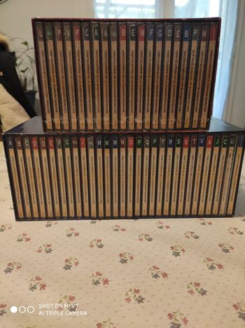 Lot de 50 CD de la variété française