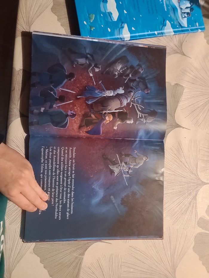 Livre la reine des neiges 2 - photo numéro 7