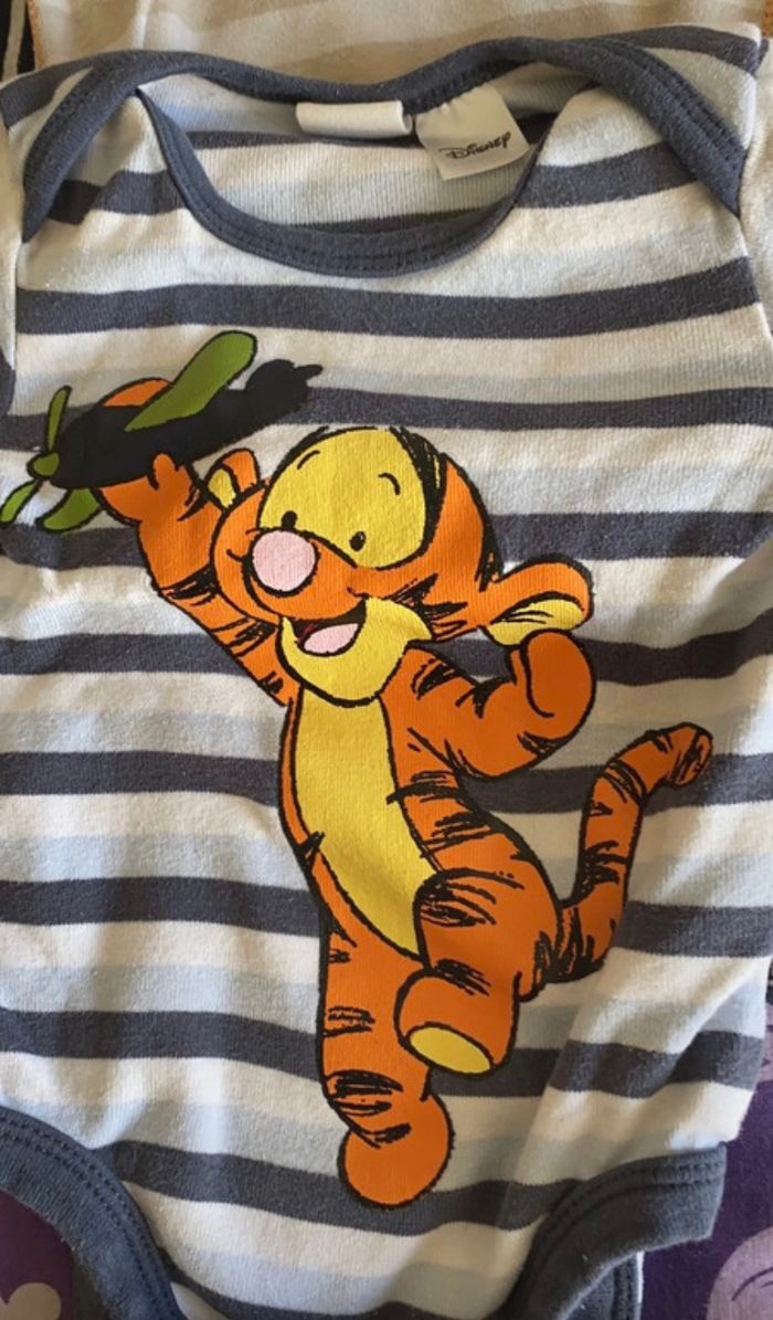 Lot bodys - photo numéro 4