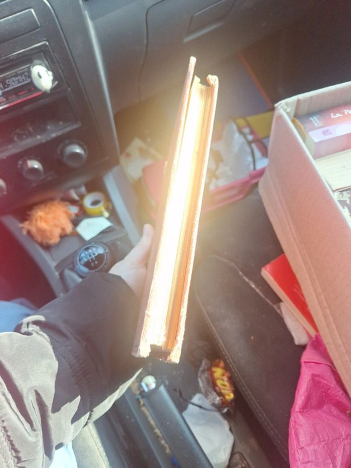 Histoire de la conquête de l'Angleterre par les normand - photo numéro 3