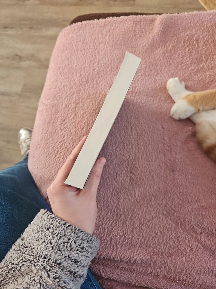 Livre - photo numéro 7