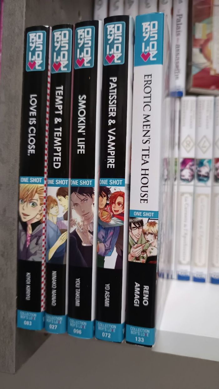 Lot Manga OneShoot BL Yaoï