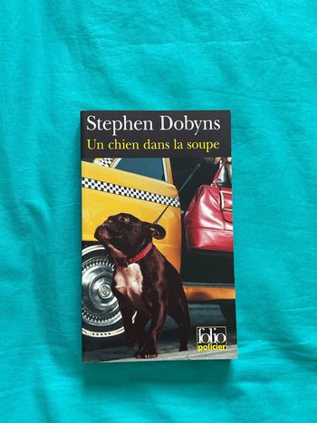 Un chien dans la soupe - Stephen Dobyns - Folio