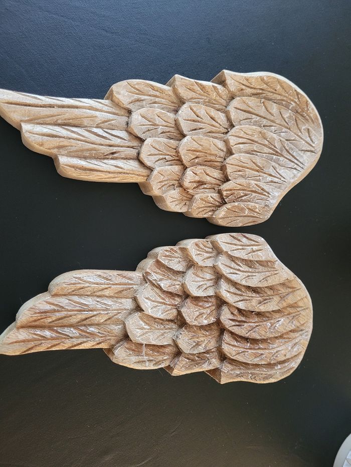 Paire d'ailes - photo numéro 2