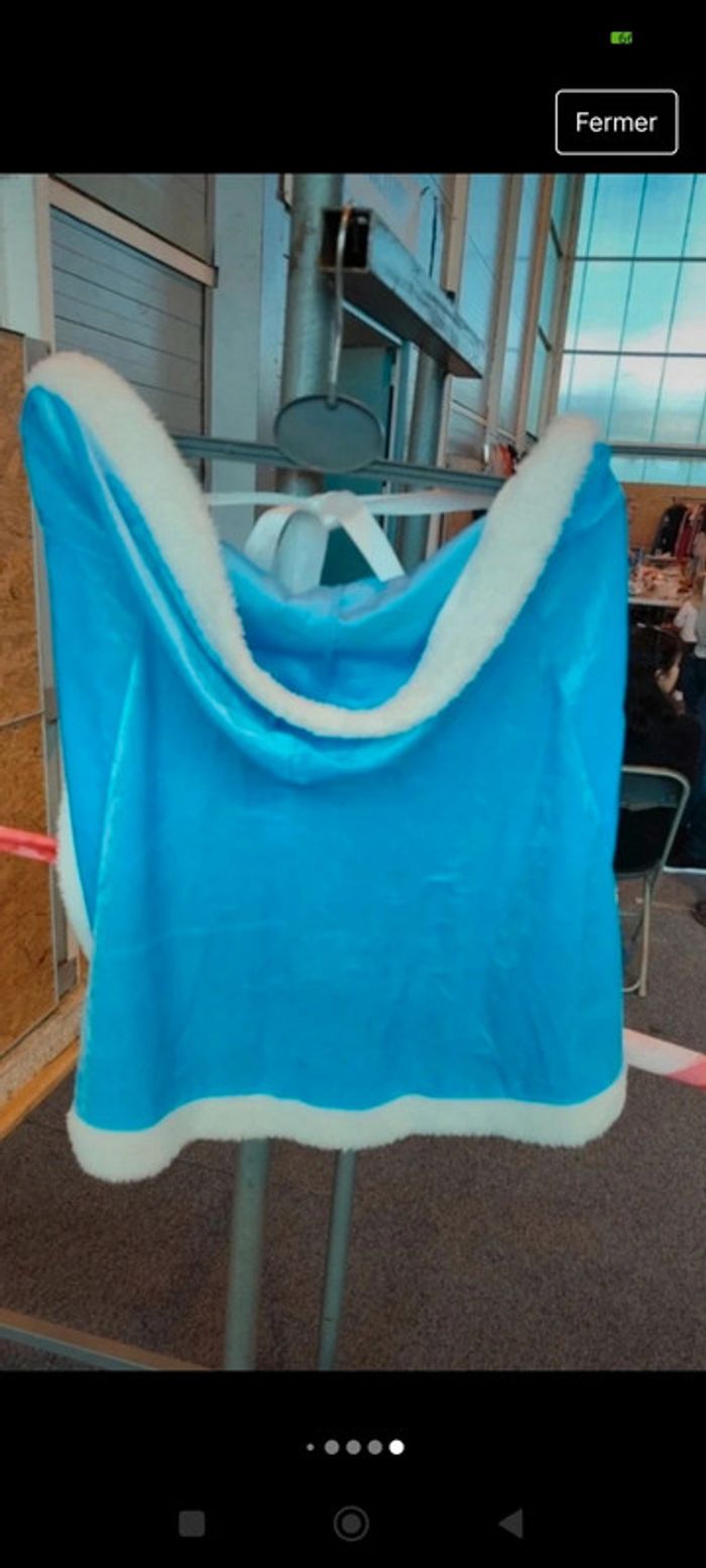 Déguisement Cendrillon - photo numéro 3