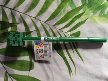 Crayon minecraft