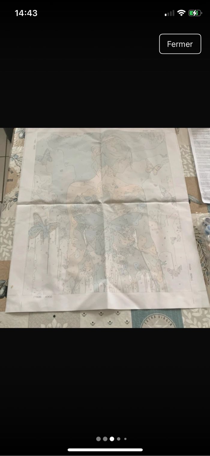 Kit complet de peinture par numéro - Neuf - photo numéro 3