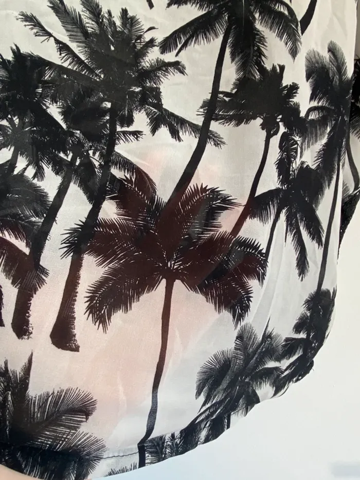 T-shirt transparent . - photo numéro 2