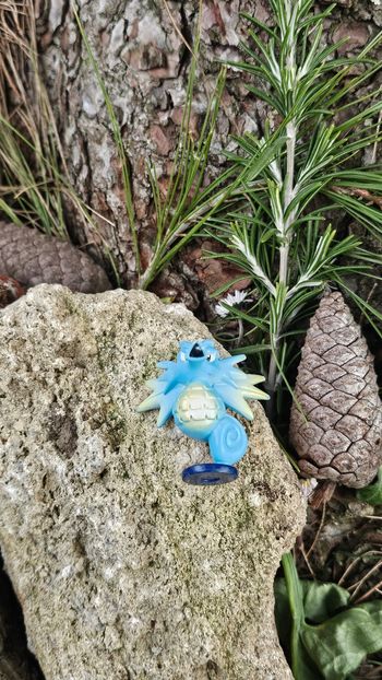 Super figurine Pokemon Nintendo tomy C.G.T.S.J hypocean 