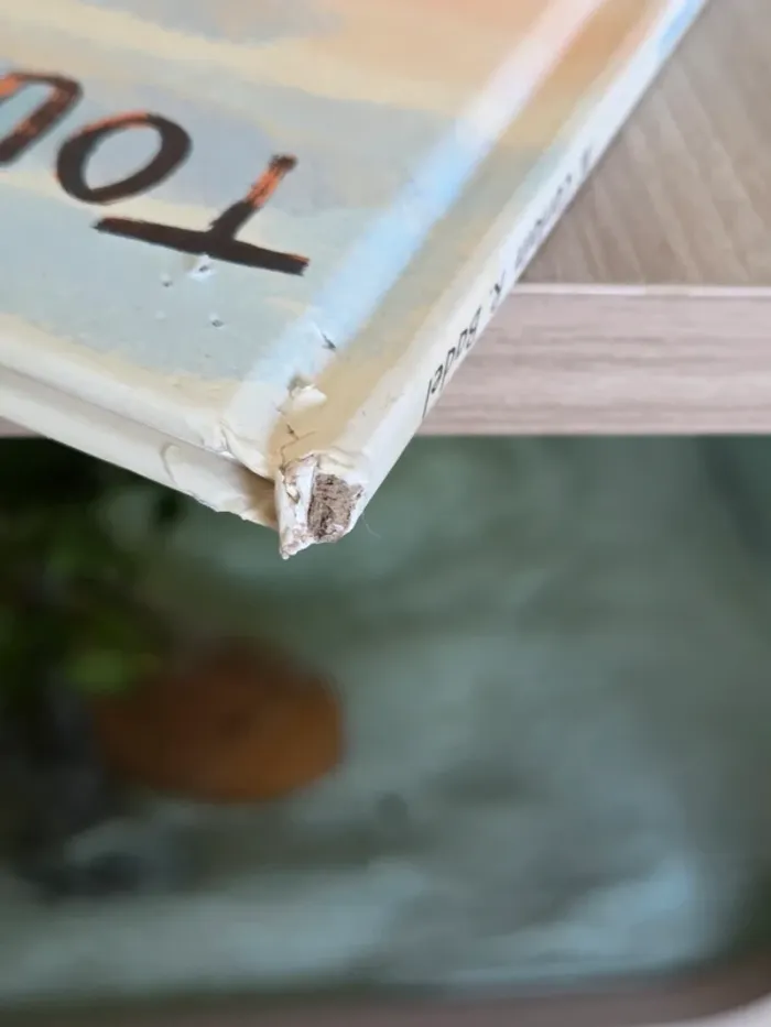 Livre tout ce que le père Noël ne fera jamais - photo numéro 3