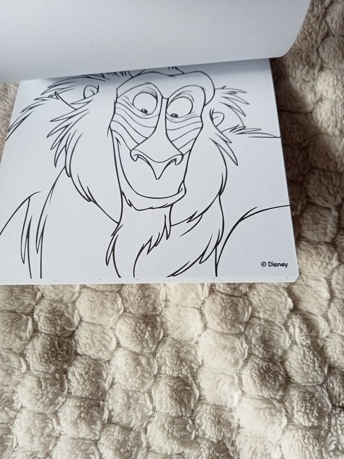 Petit Livre de coloriage le Roi lion - photo numéro 4