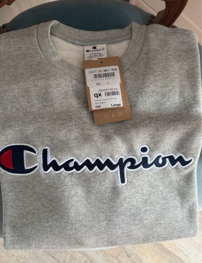 Sweat capuche champion - photo numéro 2