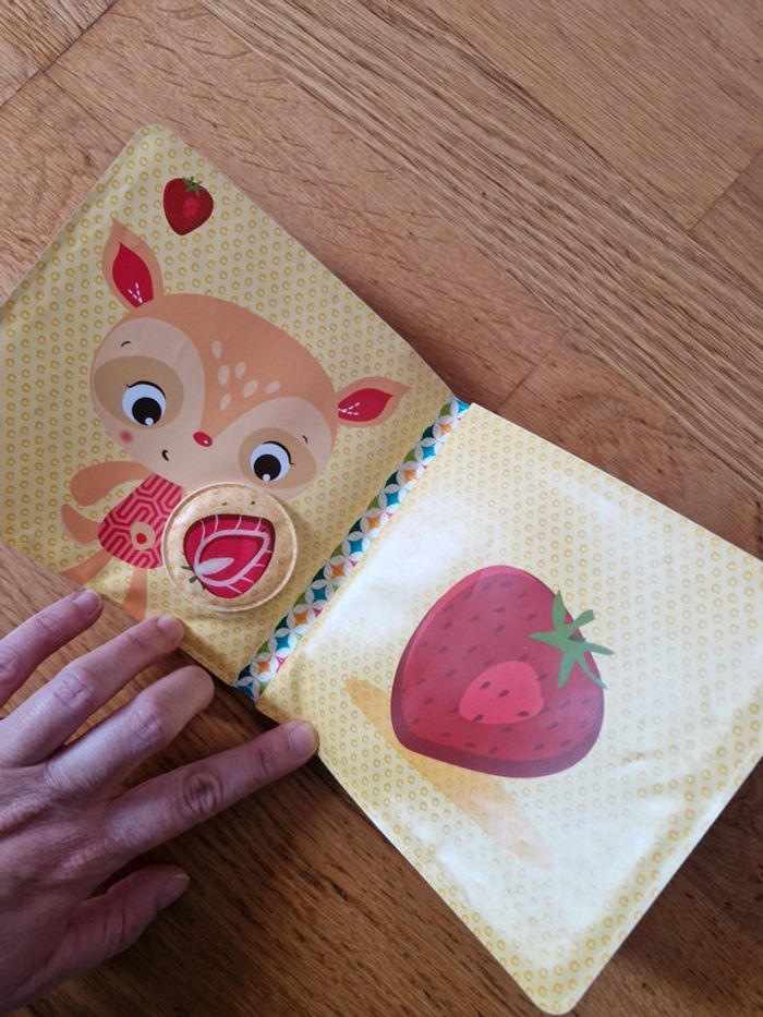 Livre ludi - photo numéro 6