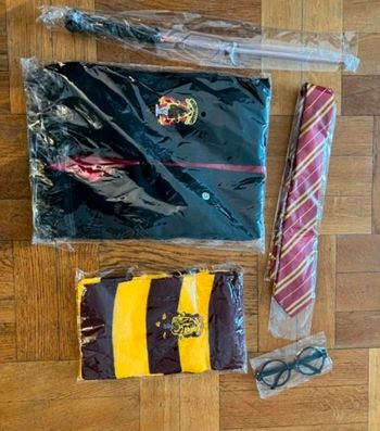 Déguisement harry Potter 10 ans neuf sous blister 