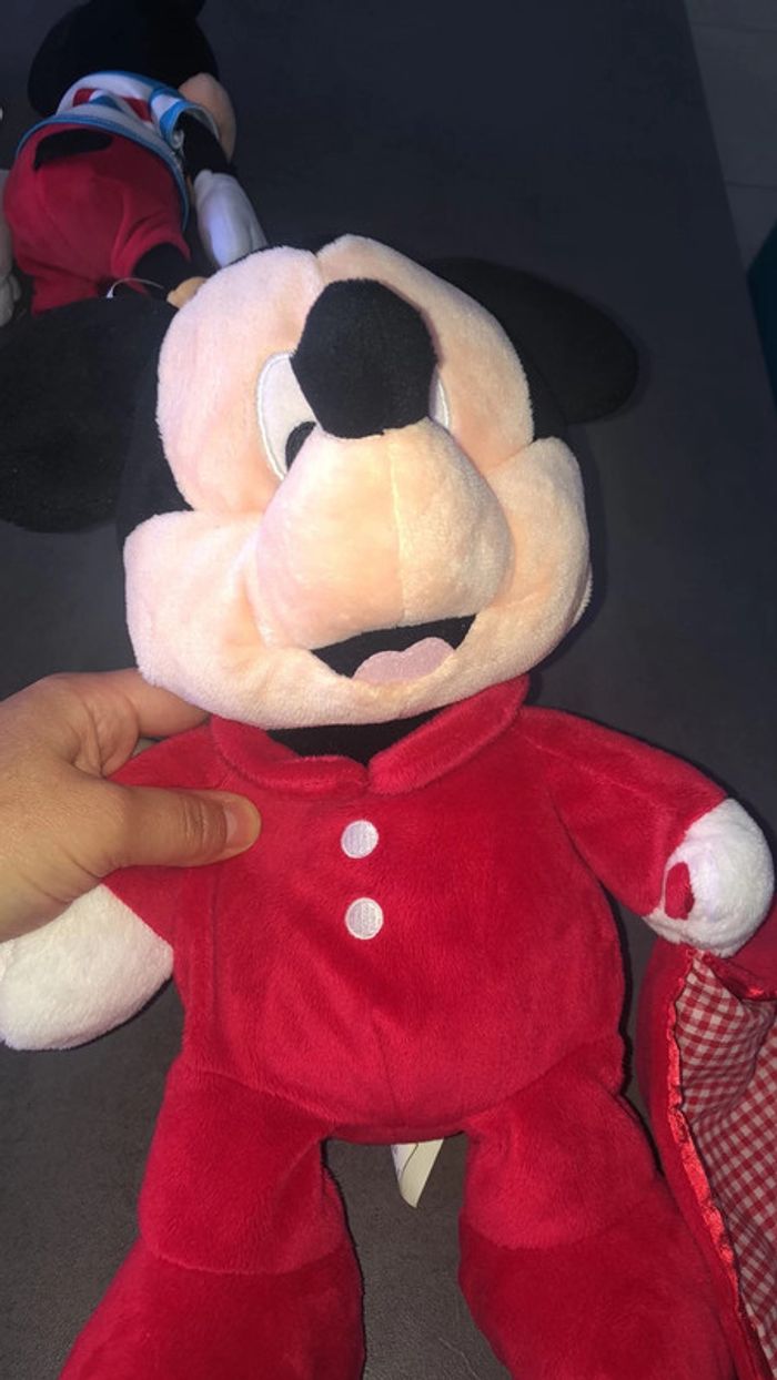 Grand Mickey avec son doudou