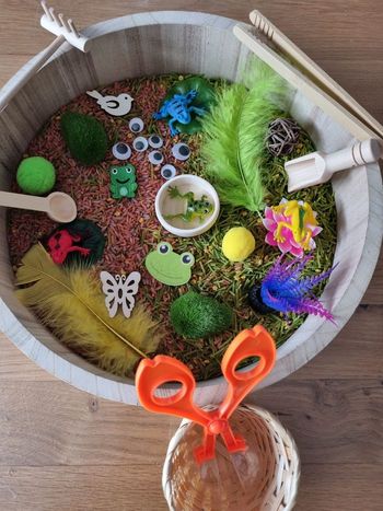 Kit de transvasement sensoriel riz coloré thème  "Grenouilles "  inspiré Montessori