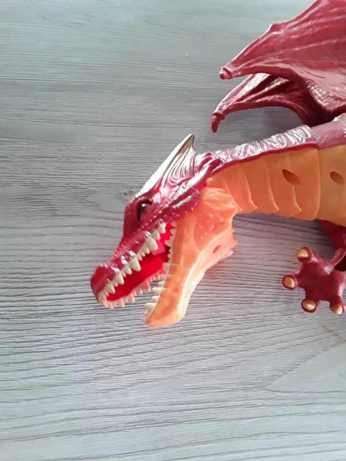 Dragon interactif - photo numéro 4