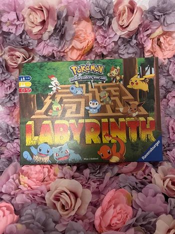 Jeu labyrinthe Pokémon 