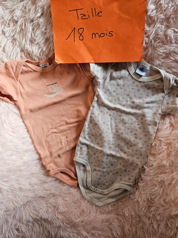Lot 2 bodys manches courtes