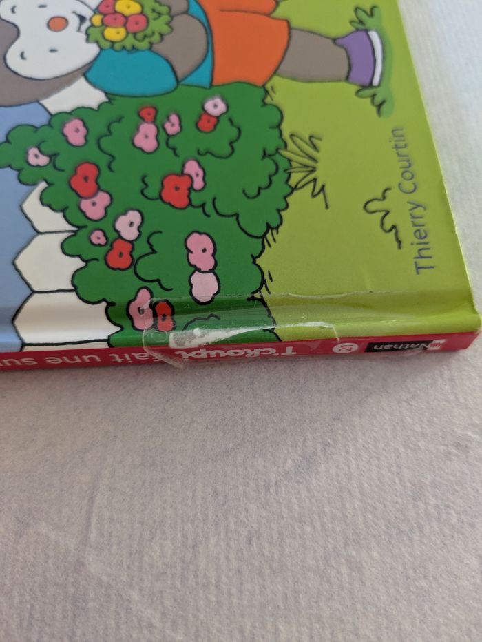 Lot 14 livres T'choupi - photo numéro 8