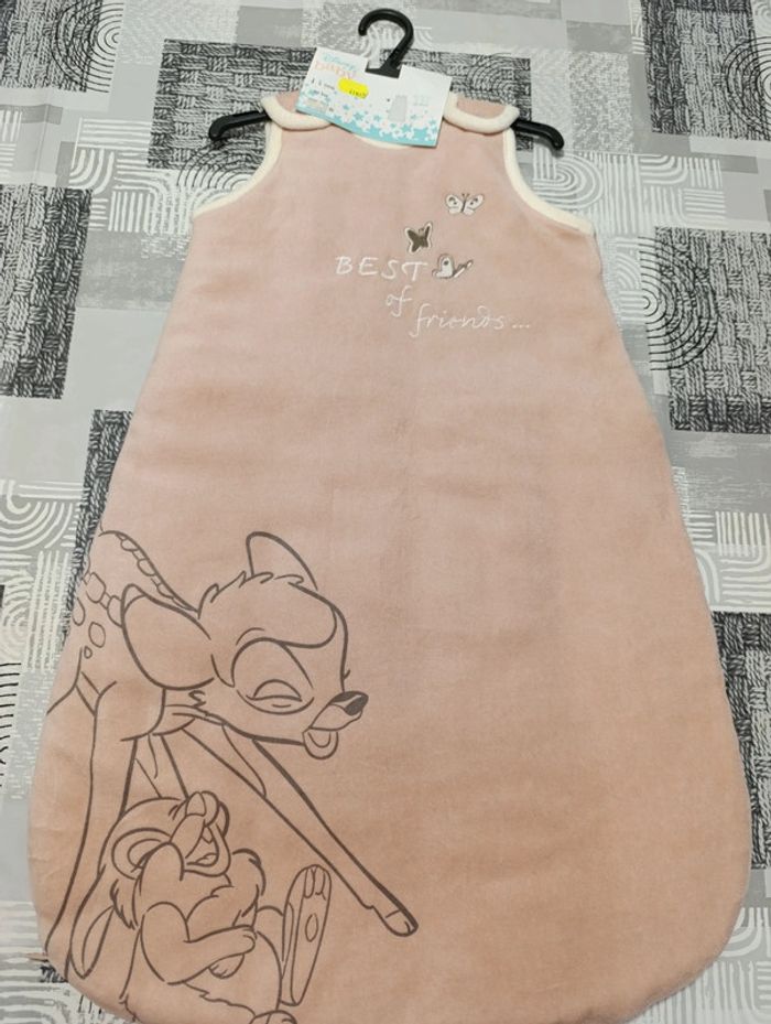 Gigoteuse 0/6mois - photo numéro 3