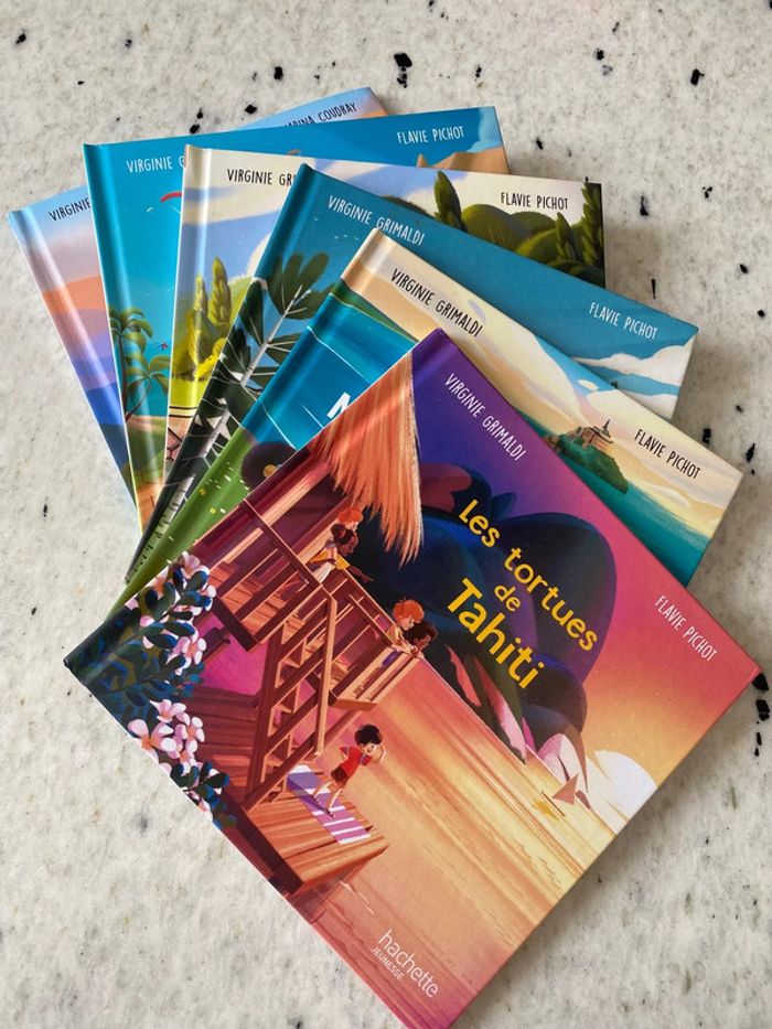 Lot 6 livres Merveilles de France