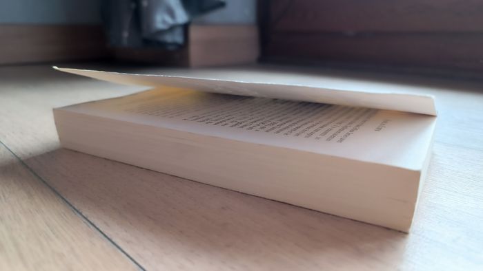 Livre Harlan Coben l'inconnu de la forêt - photo numéro 4