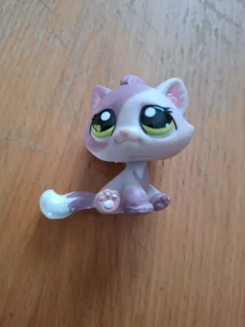 Chat pet shop authentique #1660