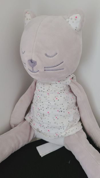Doudou chat