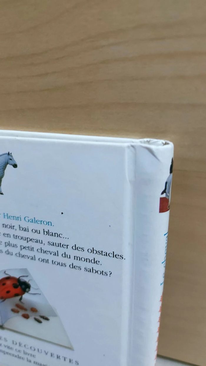 📚 Livre mes premières découvertes : Le cheval - photo numéro 8